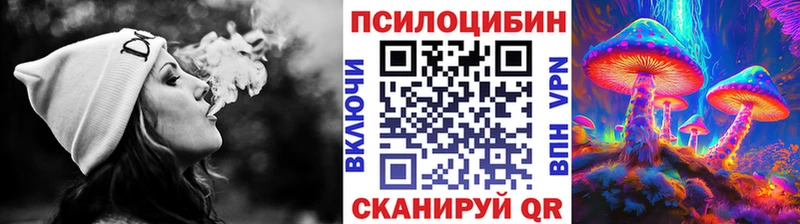 Псилоцибиновые грибы Psilocybe  ссылка на мегу ССЫЛКА  Щёлково 